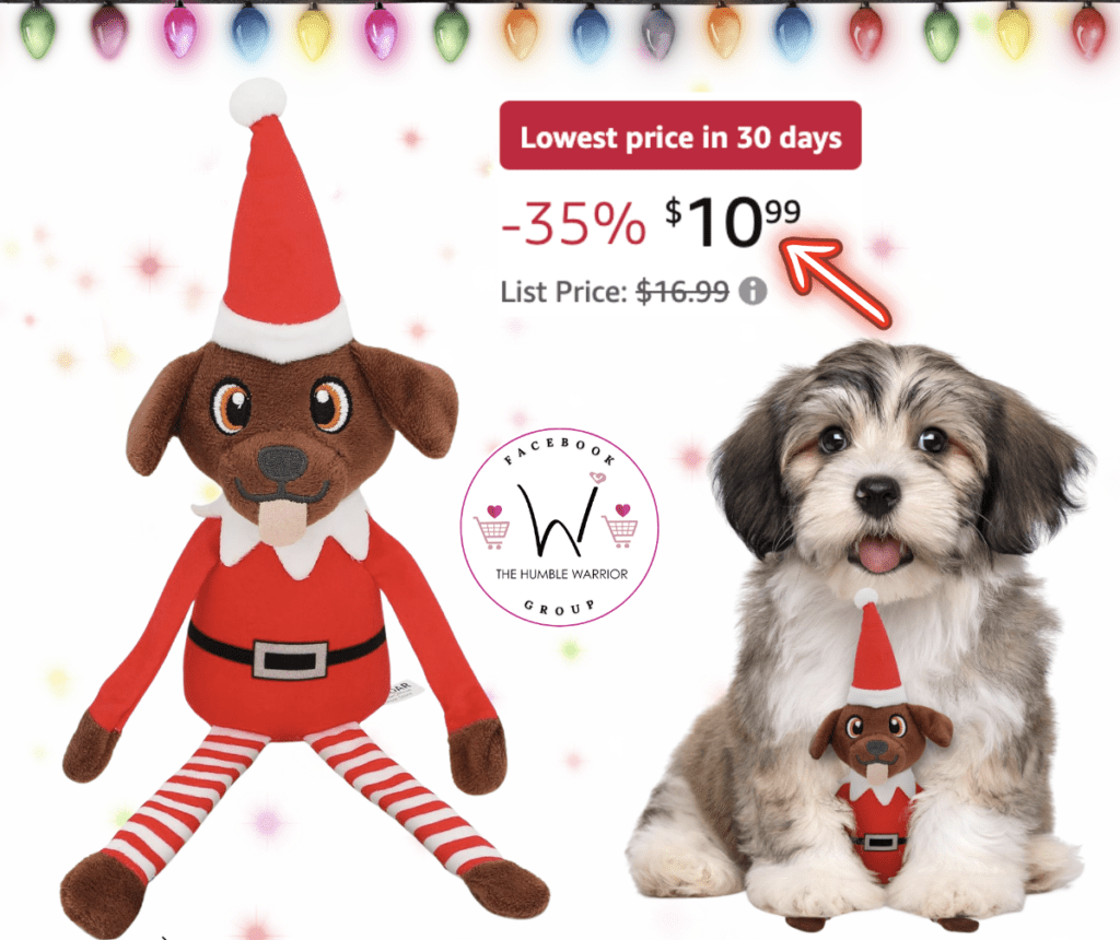 Elf dog toy!